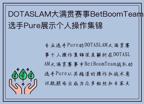 DOTASLAM大满贯赛事BetBoomTeam战队选手Pure展示个人操作集锦