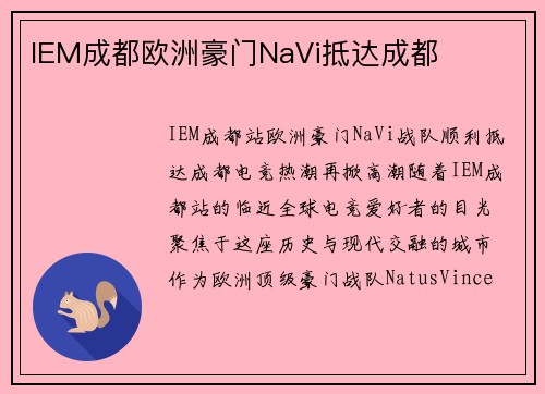 IEM成都欧洲豪门NaVi抵达成都